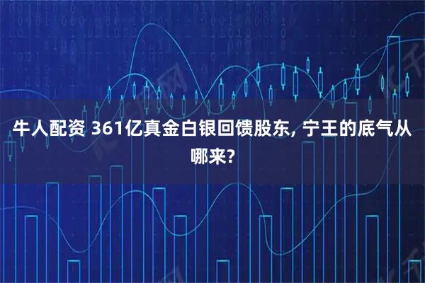 牛人配资 361亿真金白银回馈股东, 宁王的底气从哪来?