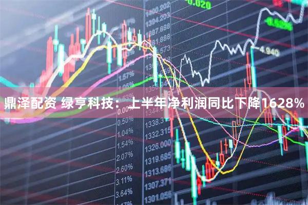 鼎泽配资 绿亨科技：上半年净利润同比下降1628%