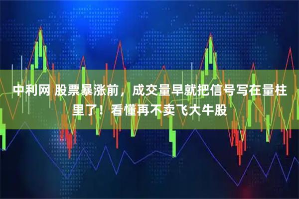 中利网 股票暴涨前,成交量早就把信号写在量柱里了!看懂再不卖飞大牛股