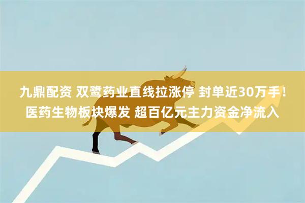 九鼎配资 双鹭药业直线拉涨停 封单近30万手!医药生物板块爆发 超百亿元主力资金净流入